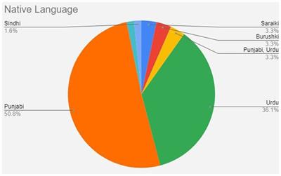 Digital Pakistan in COVID-19: rethinking <mark class="highlighted">language use</mark> at social media platforms